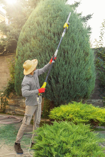 Best Leaf Removal  in Seaside, OR